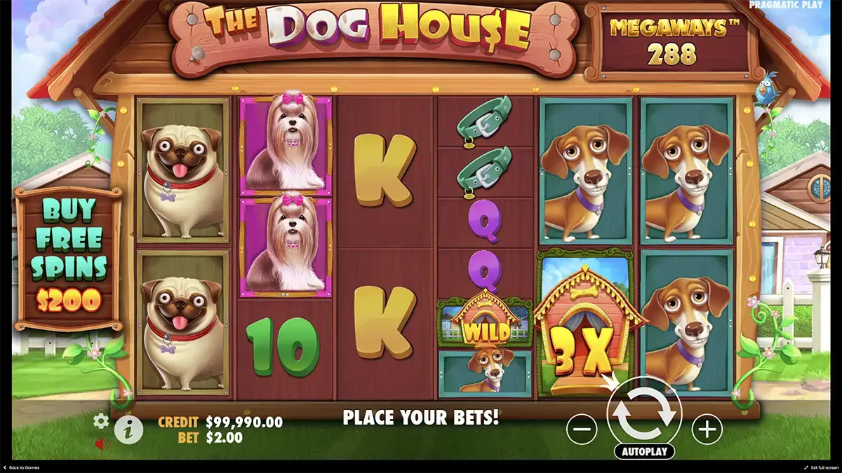 Механика игры The Dog House Megaways