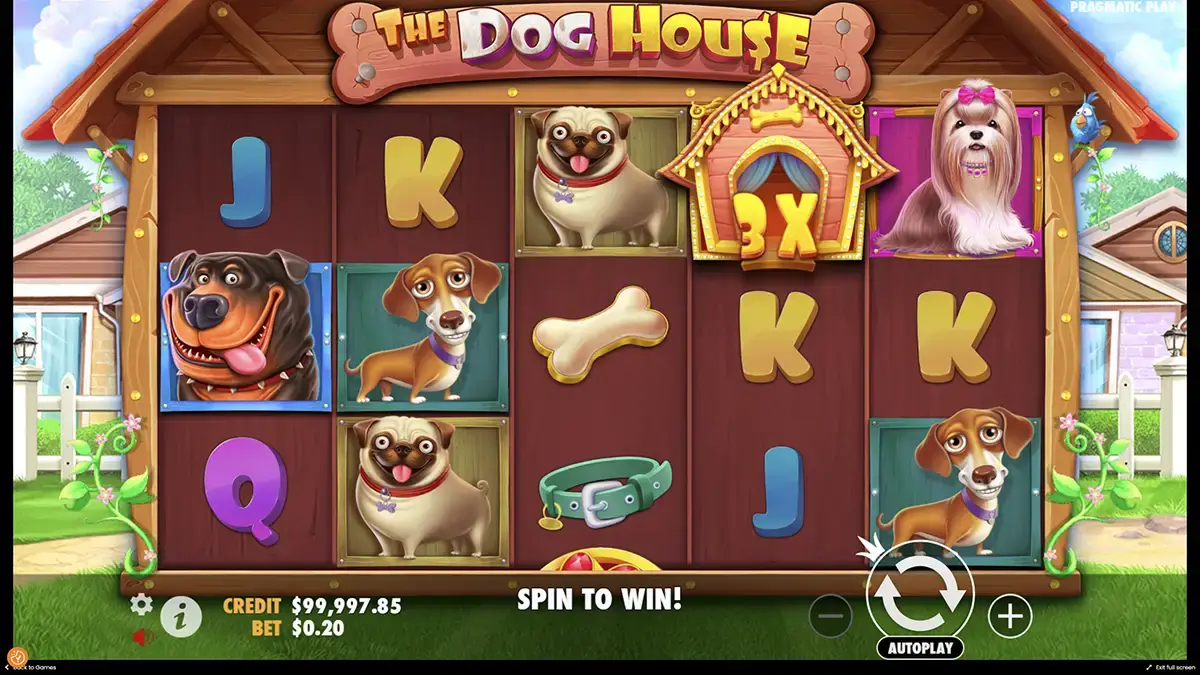 Безопасная игра в The Dog House