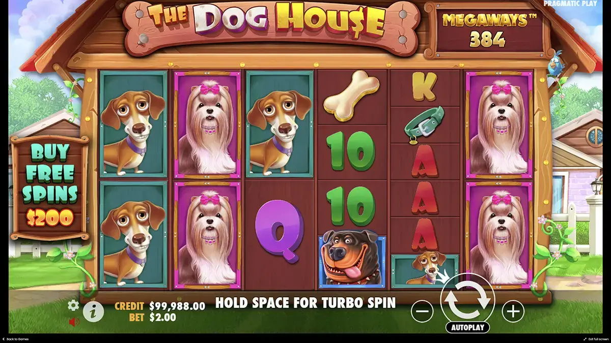 Атмосфера The Dog House Megaways Demo