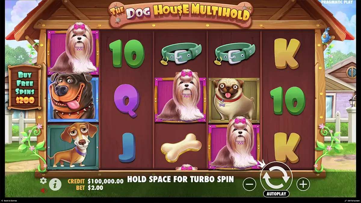 Как играть в демо The Dog House Multihold