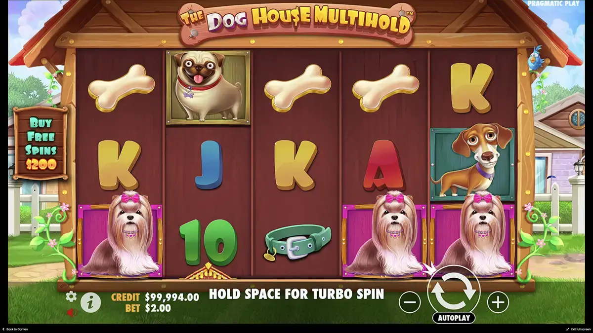 Игровой слот The Dog House Multihold